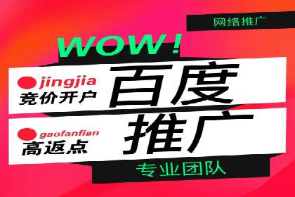 SEM广告投放中的数据监控与调整策略——以某品牌营销案例为例